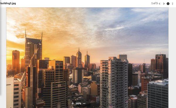 IafDocViewer interface